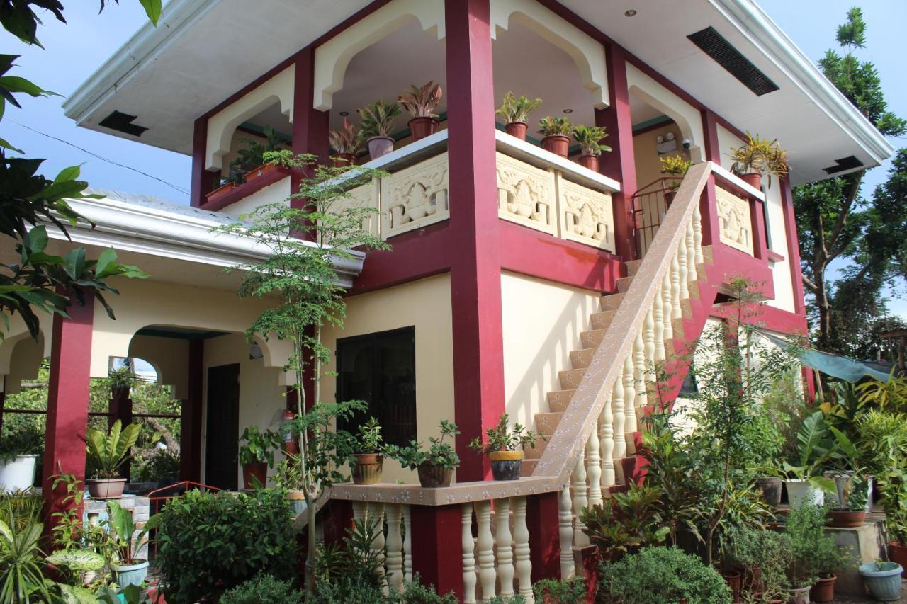 Peace Lily Studio Apartments Panglao City Exterior foto