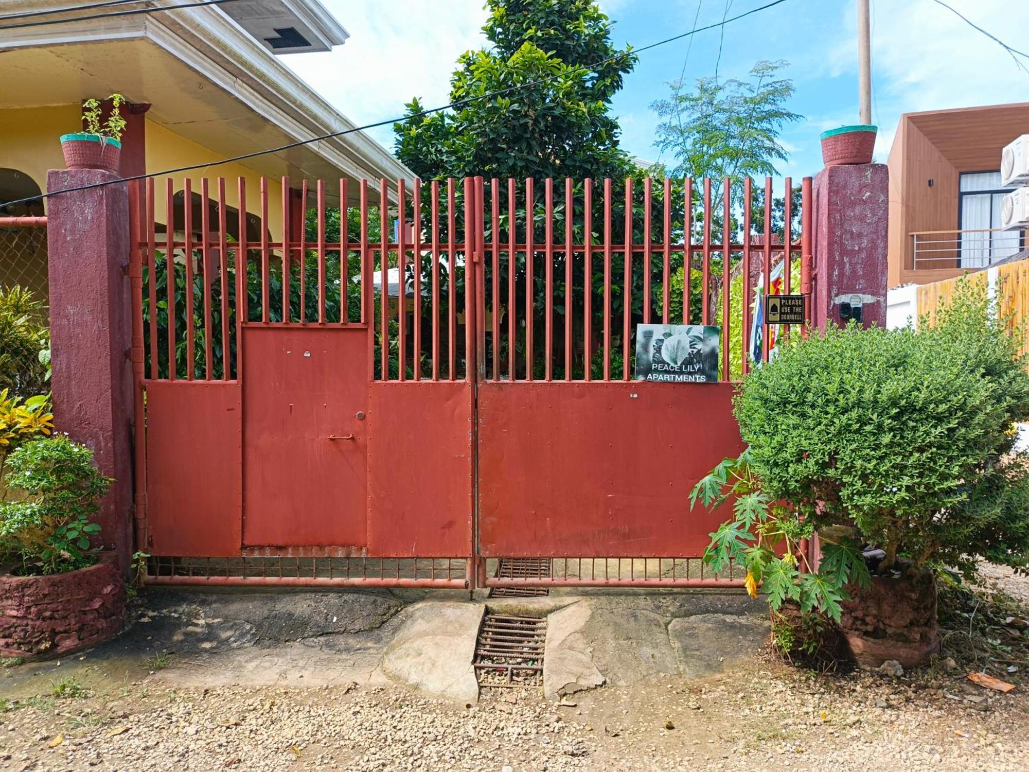 Peace Lily Studio Apartments Panglao Exterior foto