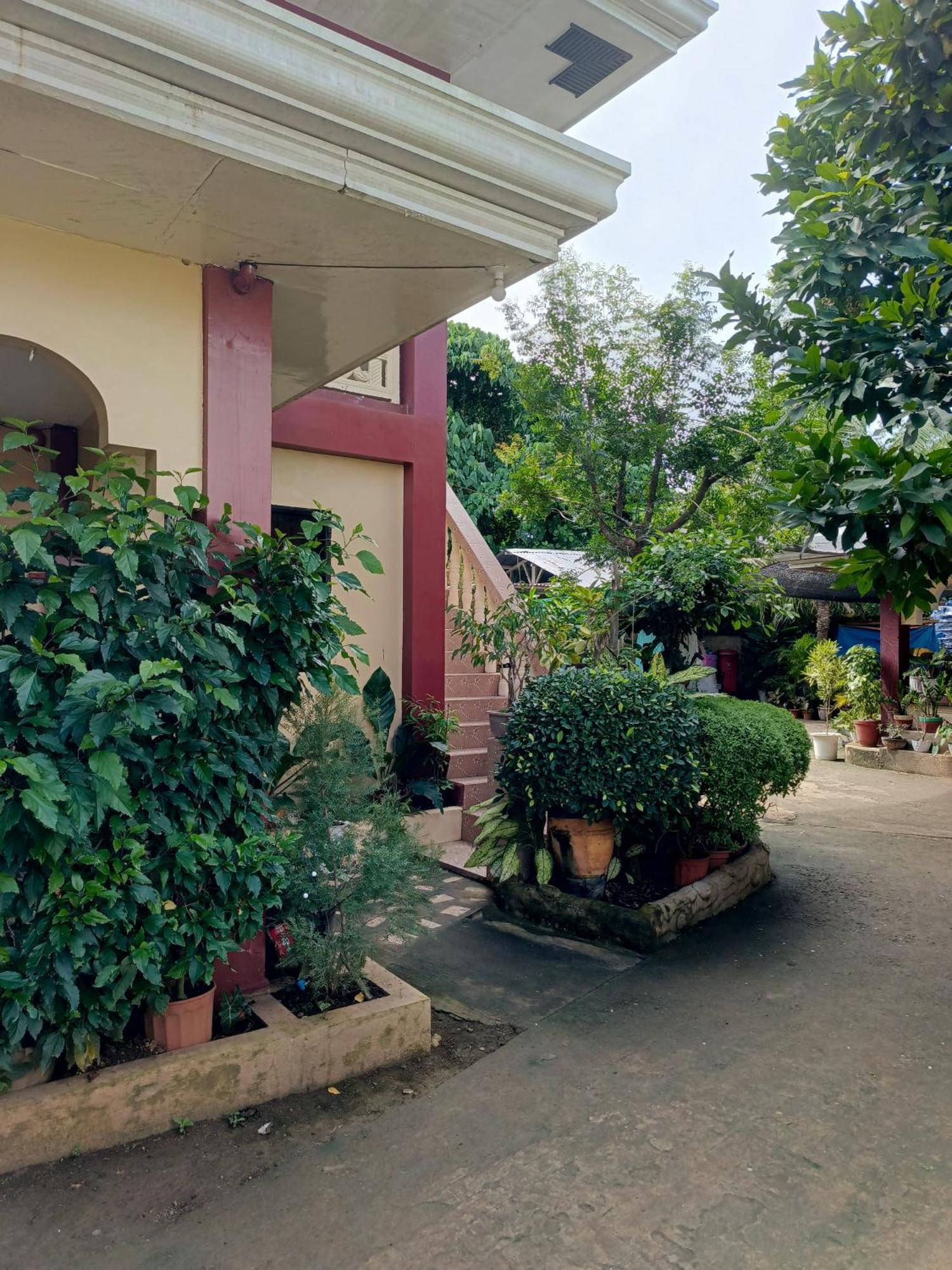 Peace Lily Studio Apartments Panglao Exterior foto
