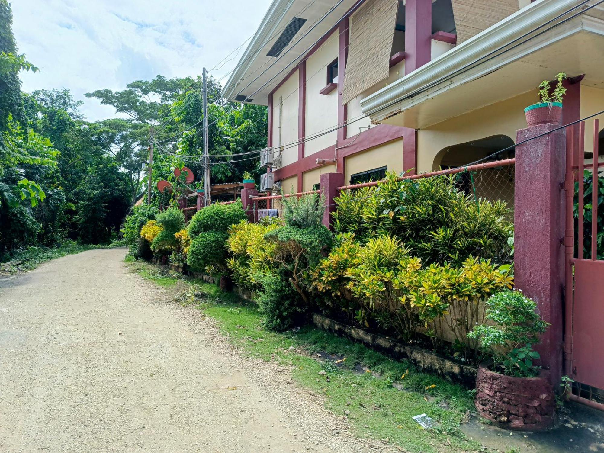 Peace Lily Studio Apartments Panglao Exterior foto